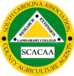 SCACAA Logo